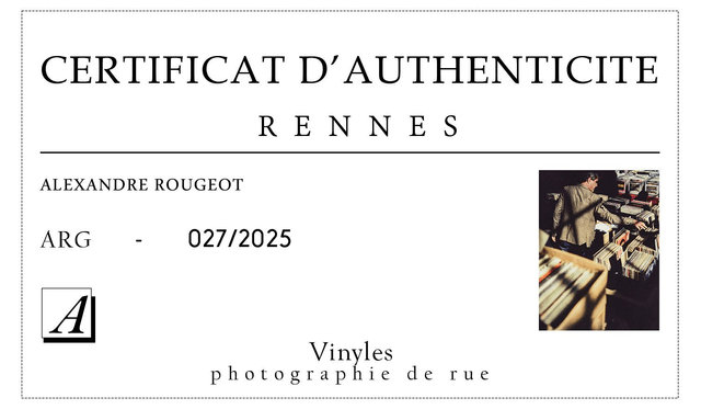 Tirage d'art signé 18cm X 24cm  / photographie FineArt / Portugal "Vyniles"